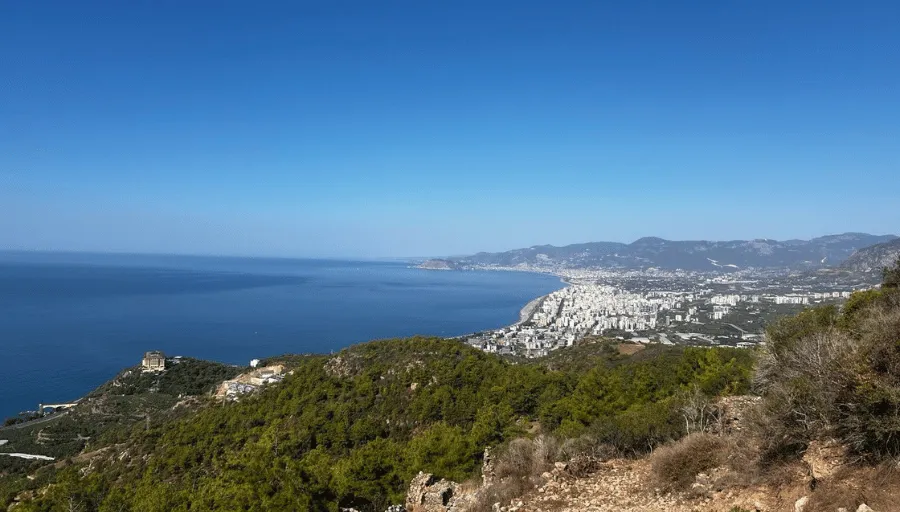 Nature Safari photo 10